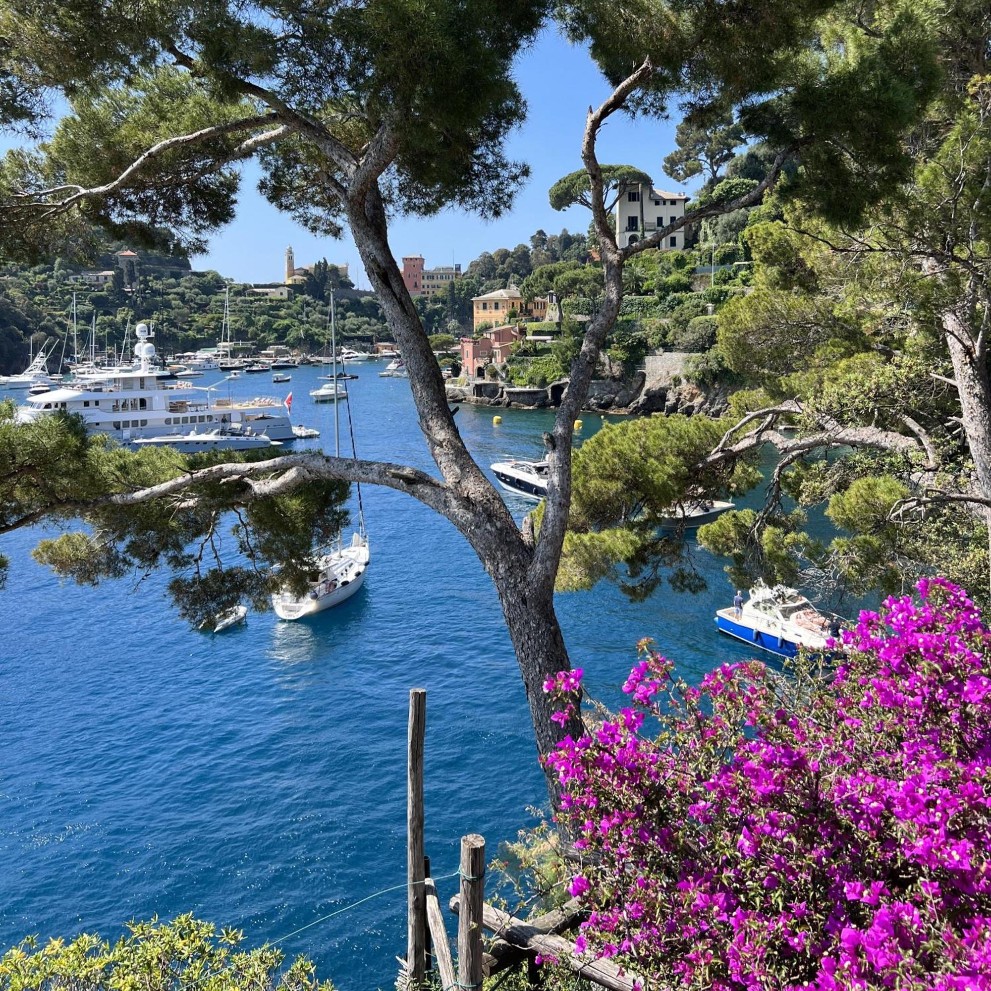 Aquarium Apt Sml Parcheggio Gratis Terrazzo サンタ・マルゲリータ・リグレ エクステリア 写真