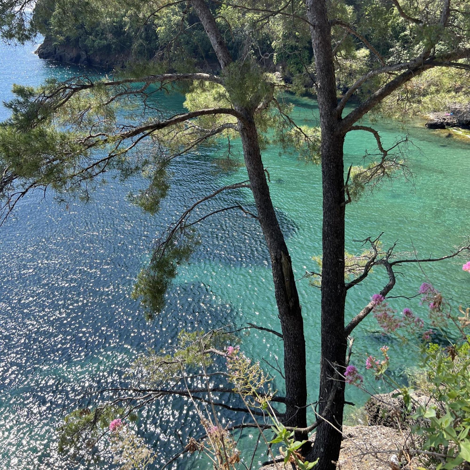 Aquarium Apt Sml Parcheggio Gratis Terrazzo サンタ・マルゲリータ・リグレ エクステリア 写真